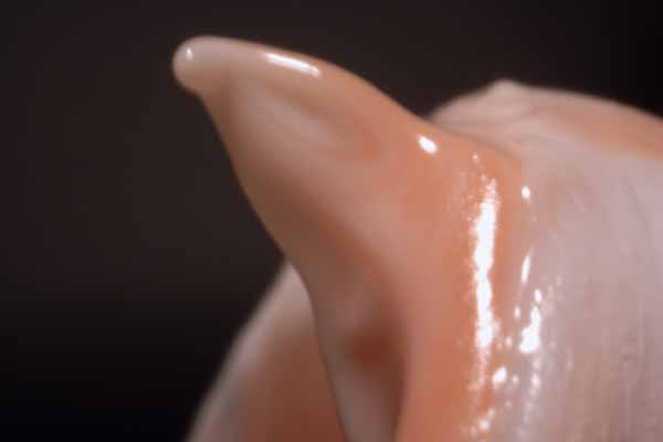 Toothpaste 1