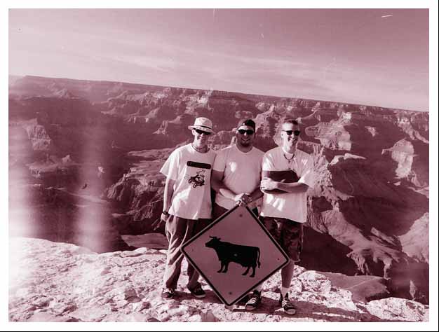 Cows and canyons