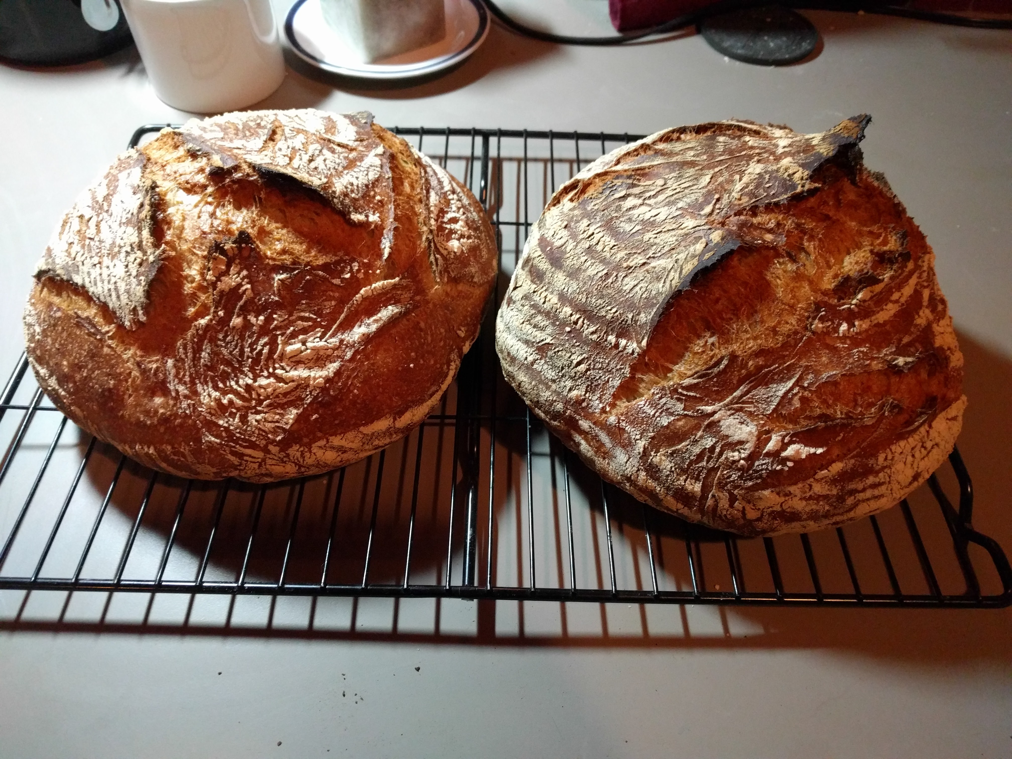 Country blonde rye