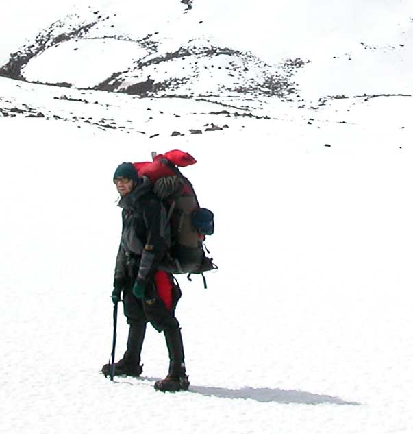 Dazed in the snow