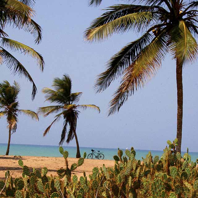 Bike on the beach