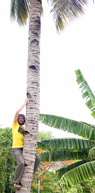 Me in a tree