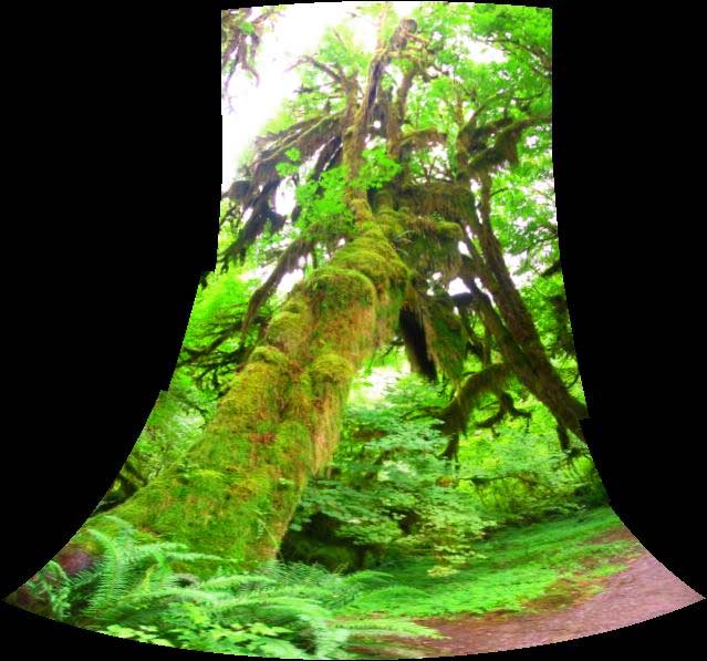 Hall of Mosses