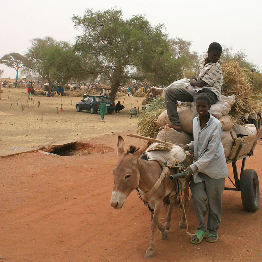 Kolo Market 1