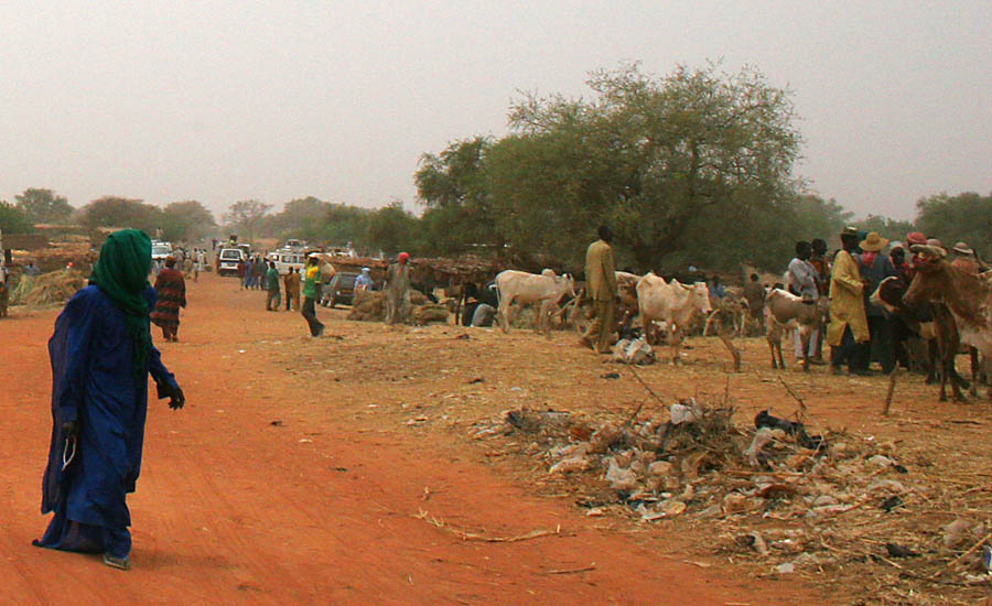 Kolo Market 6