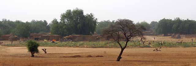 Garden and dry lake