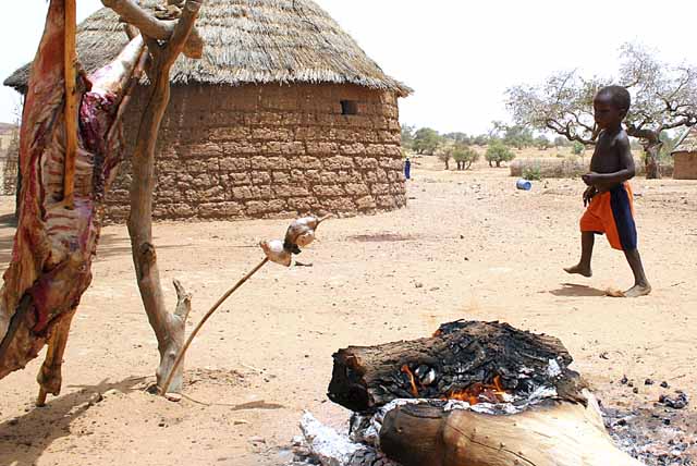 Cooking the sheep