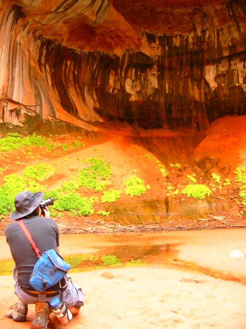 Taking Double Arch