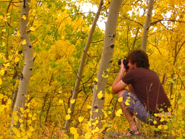 Taking yellow